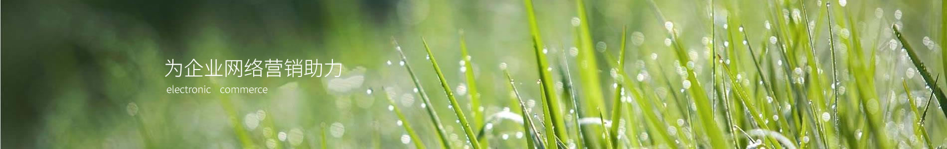 Ĵʡ޹˾